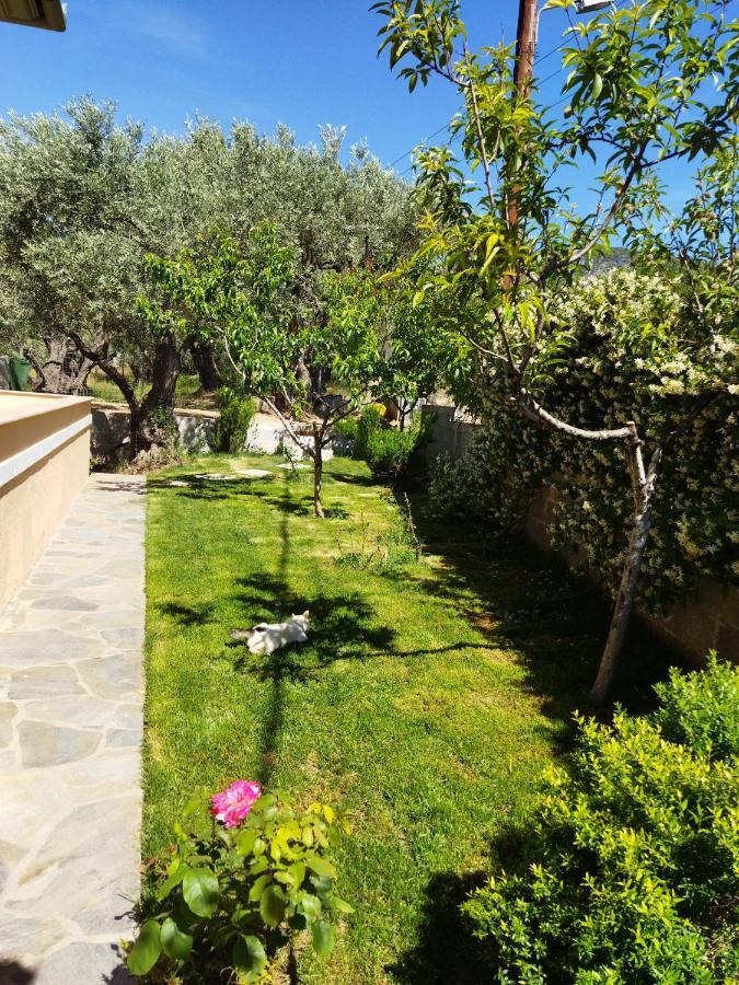 View House Βίλα Αγριά Εξωτερικό φωτογραφία