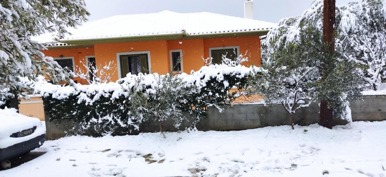 View House Βίλα Αγριά Εξωτερικό φωτογραφία